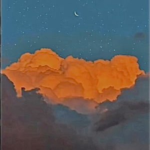 Meet your Posher, Hallie